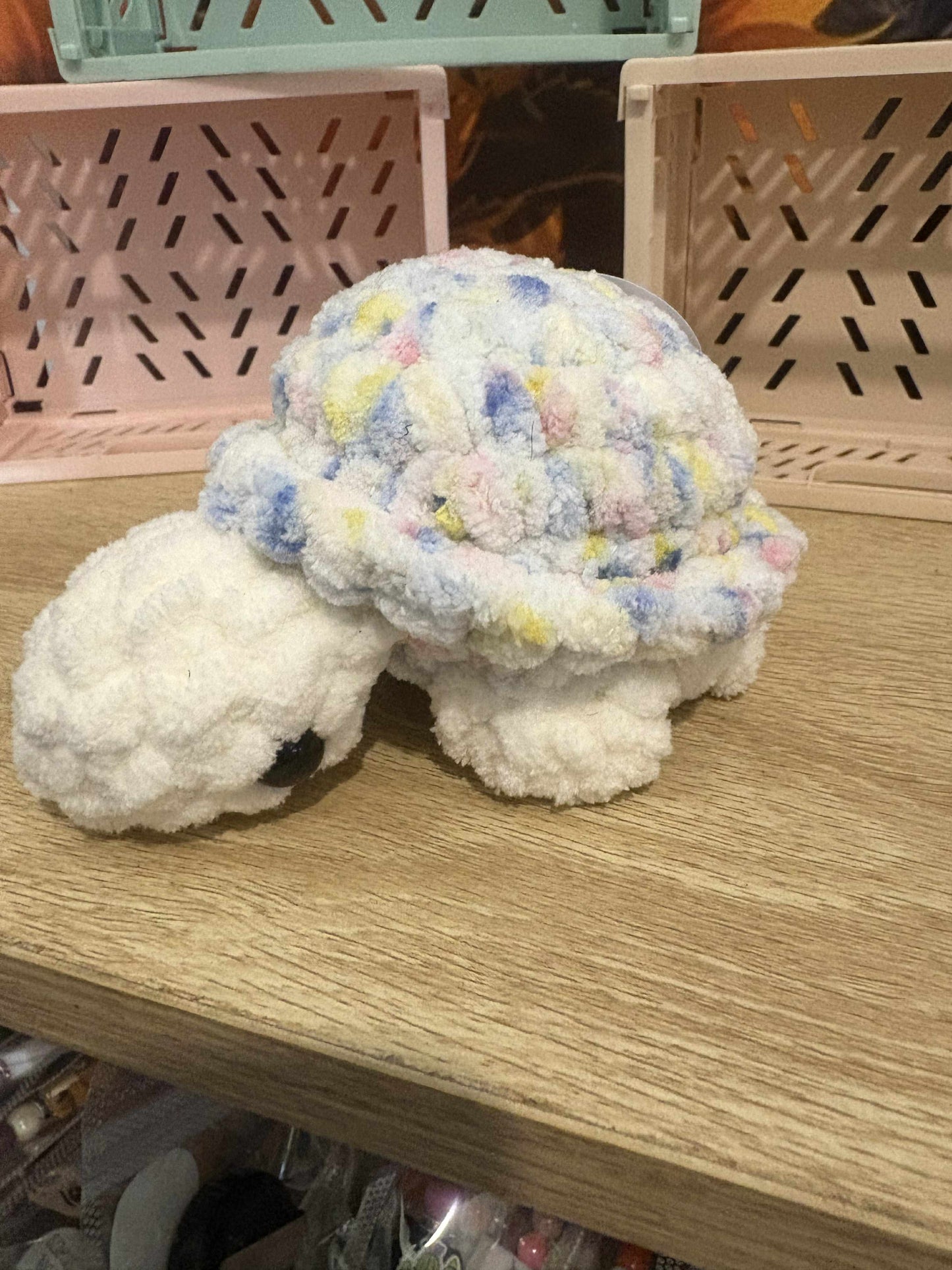 Large Turtle Rainbow
