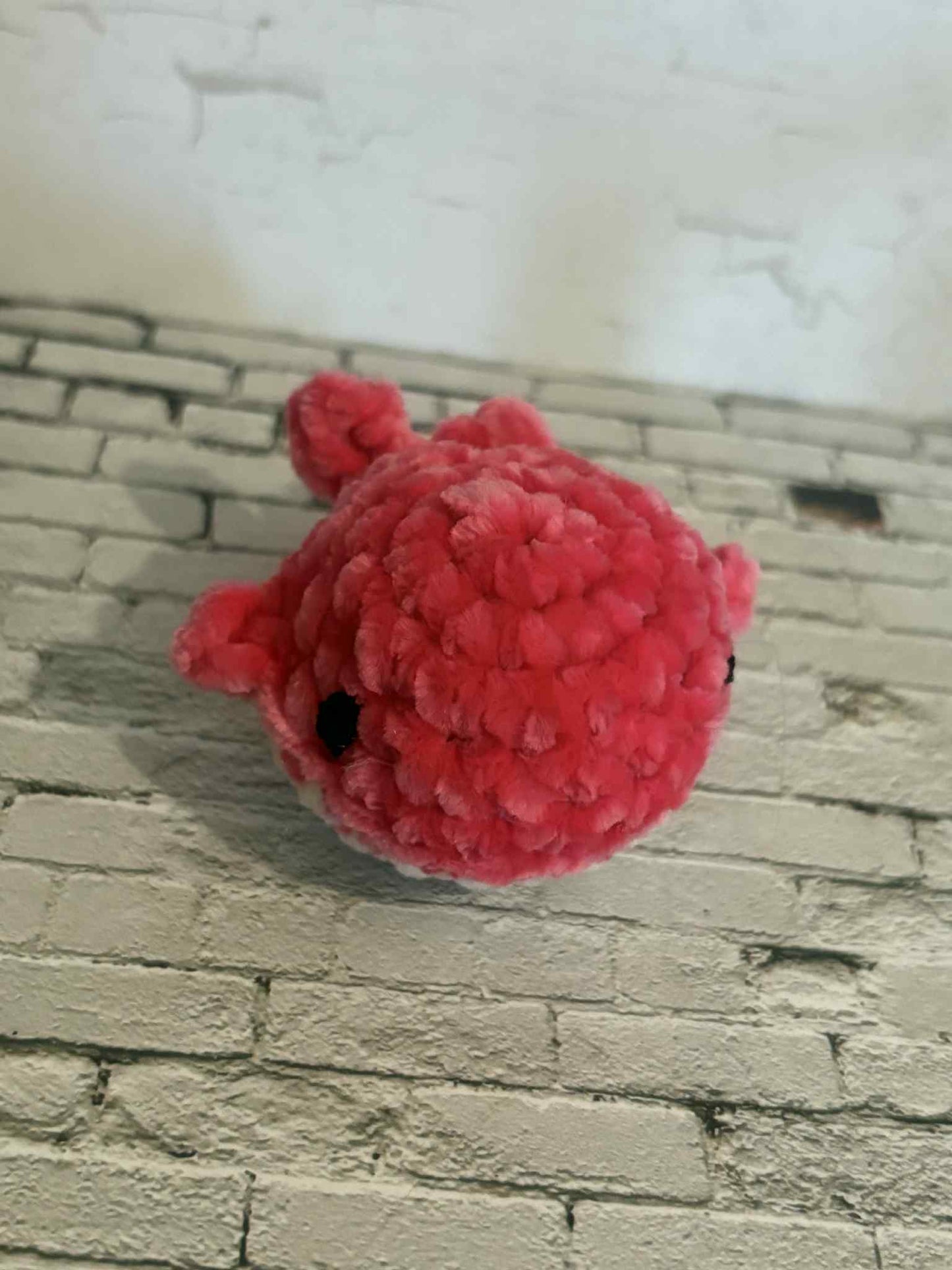 Baby Whale