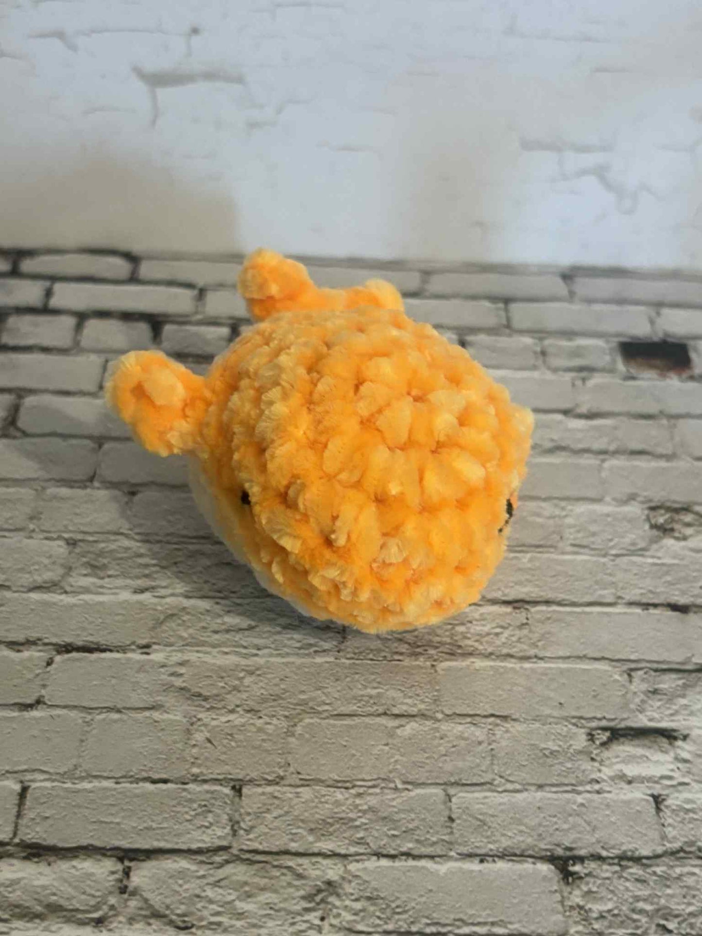 Baby Whale