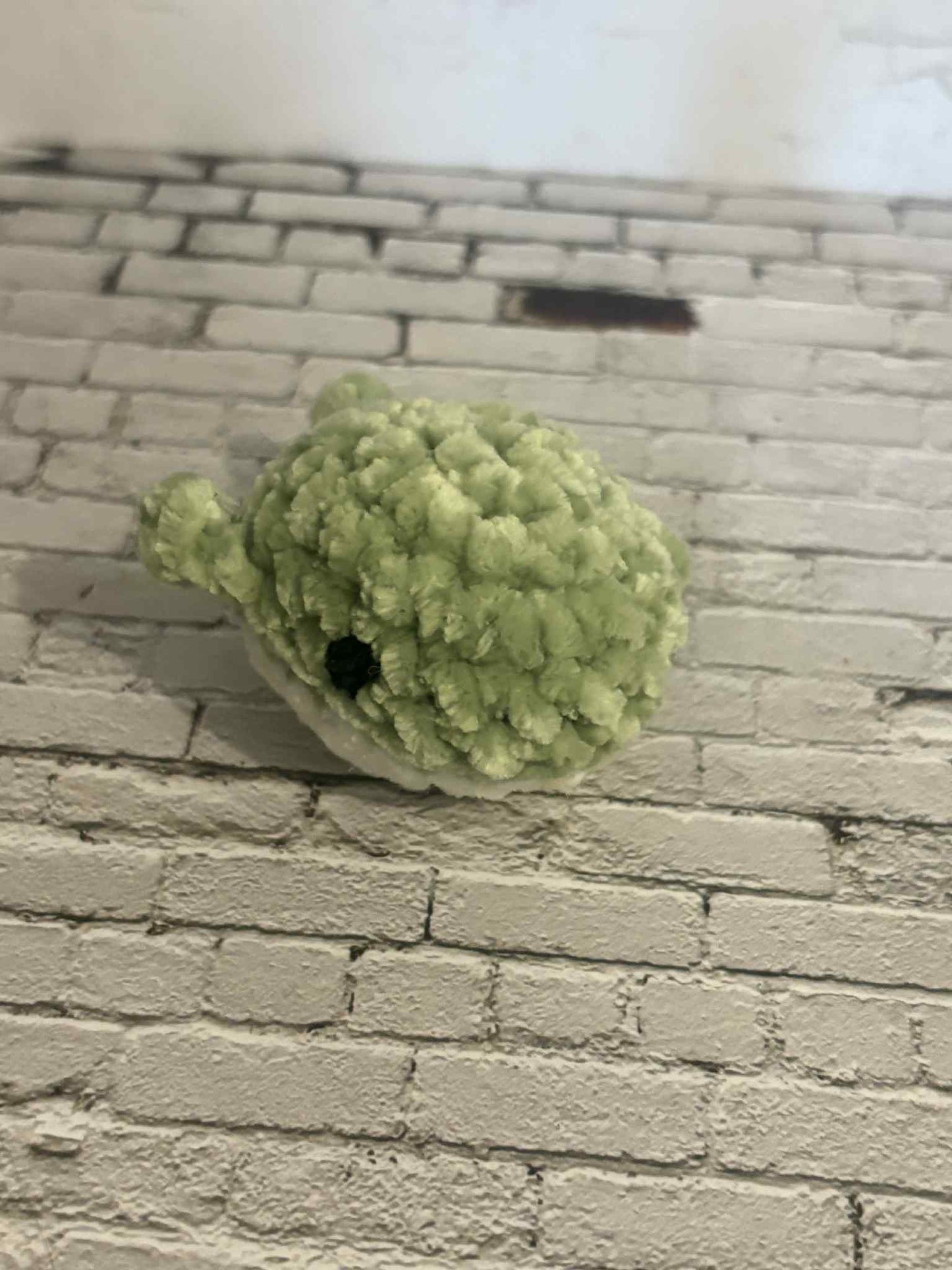 Baby Whale