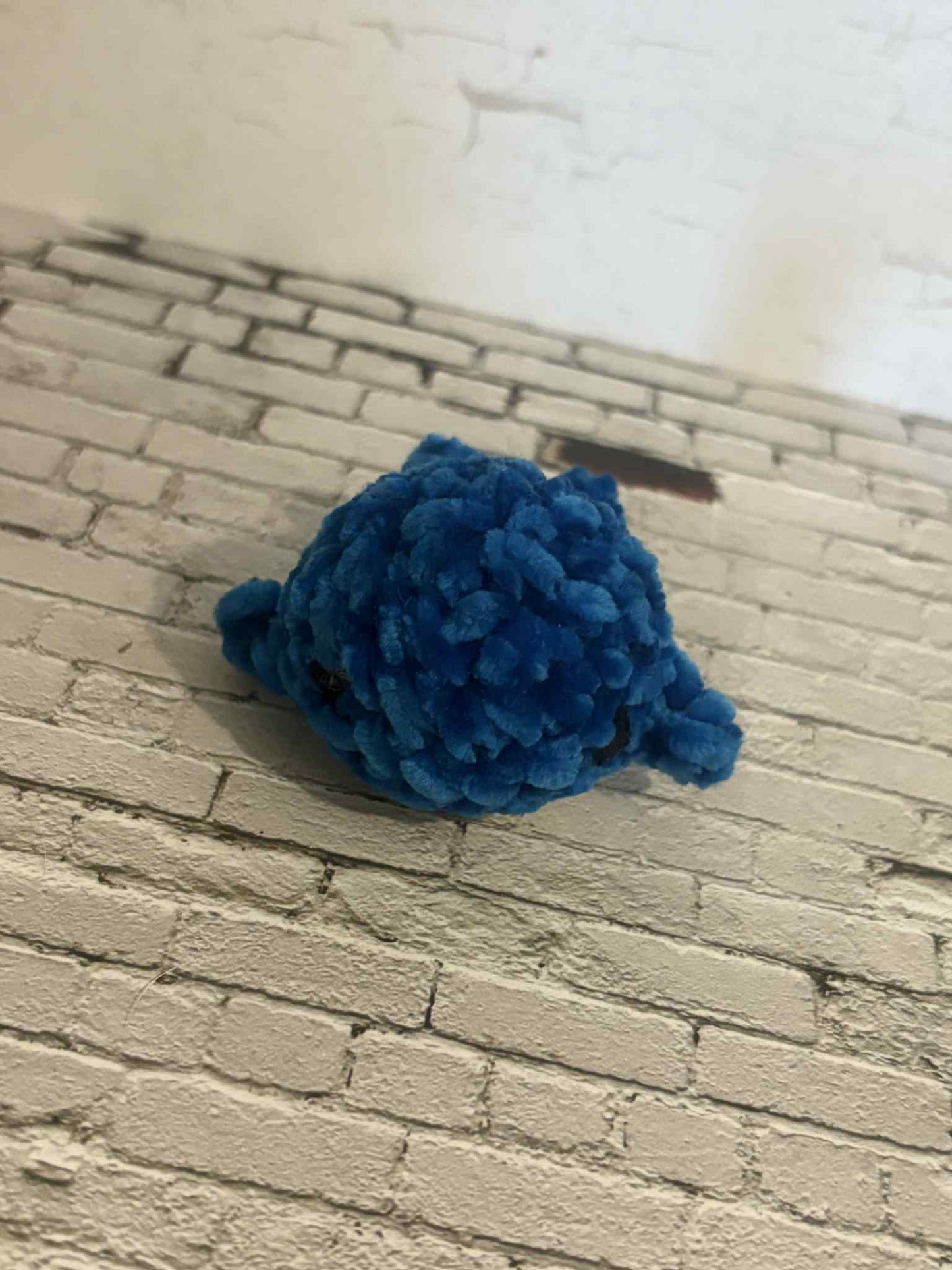 Baby Whale