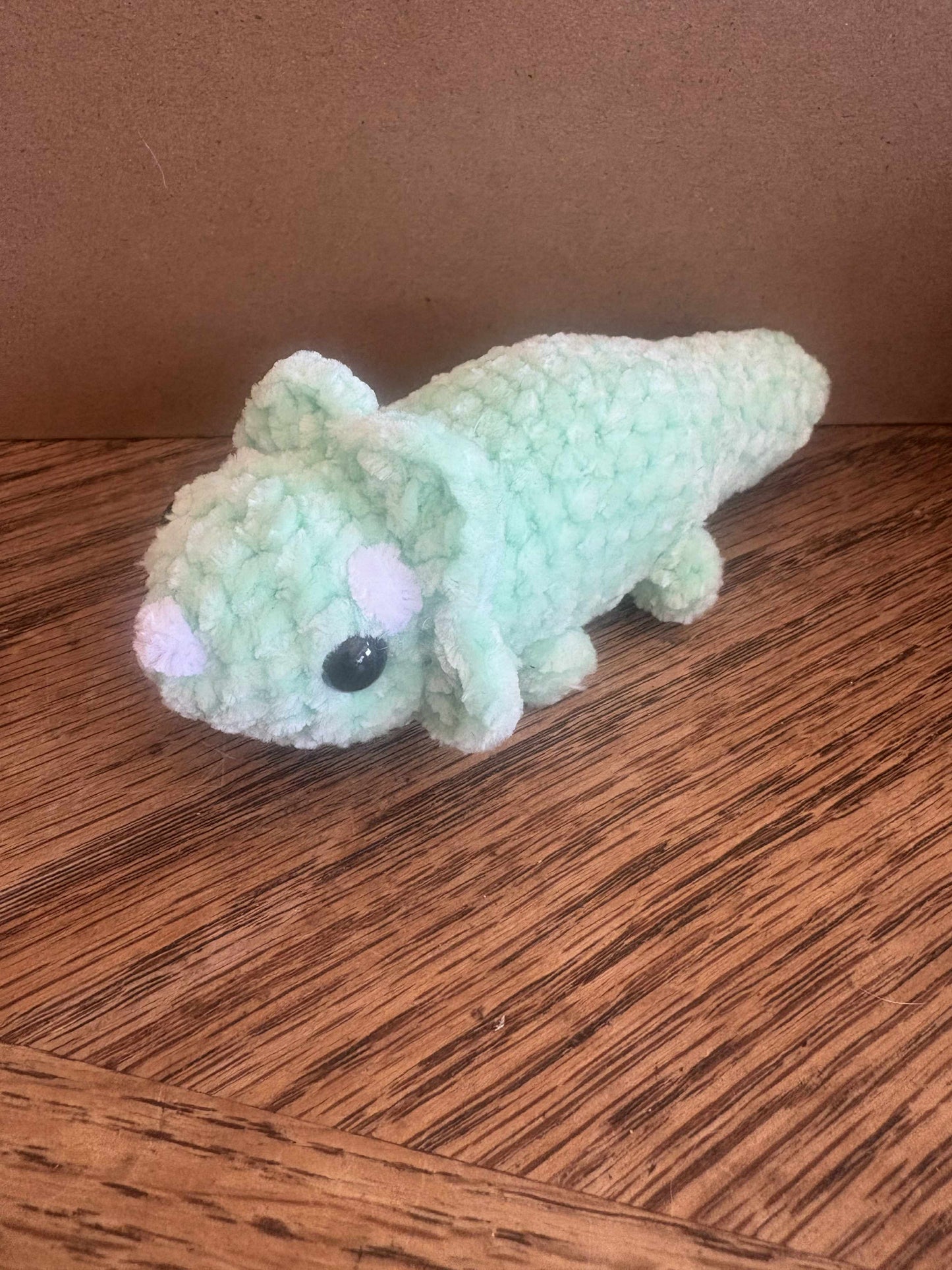 Triceratops