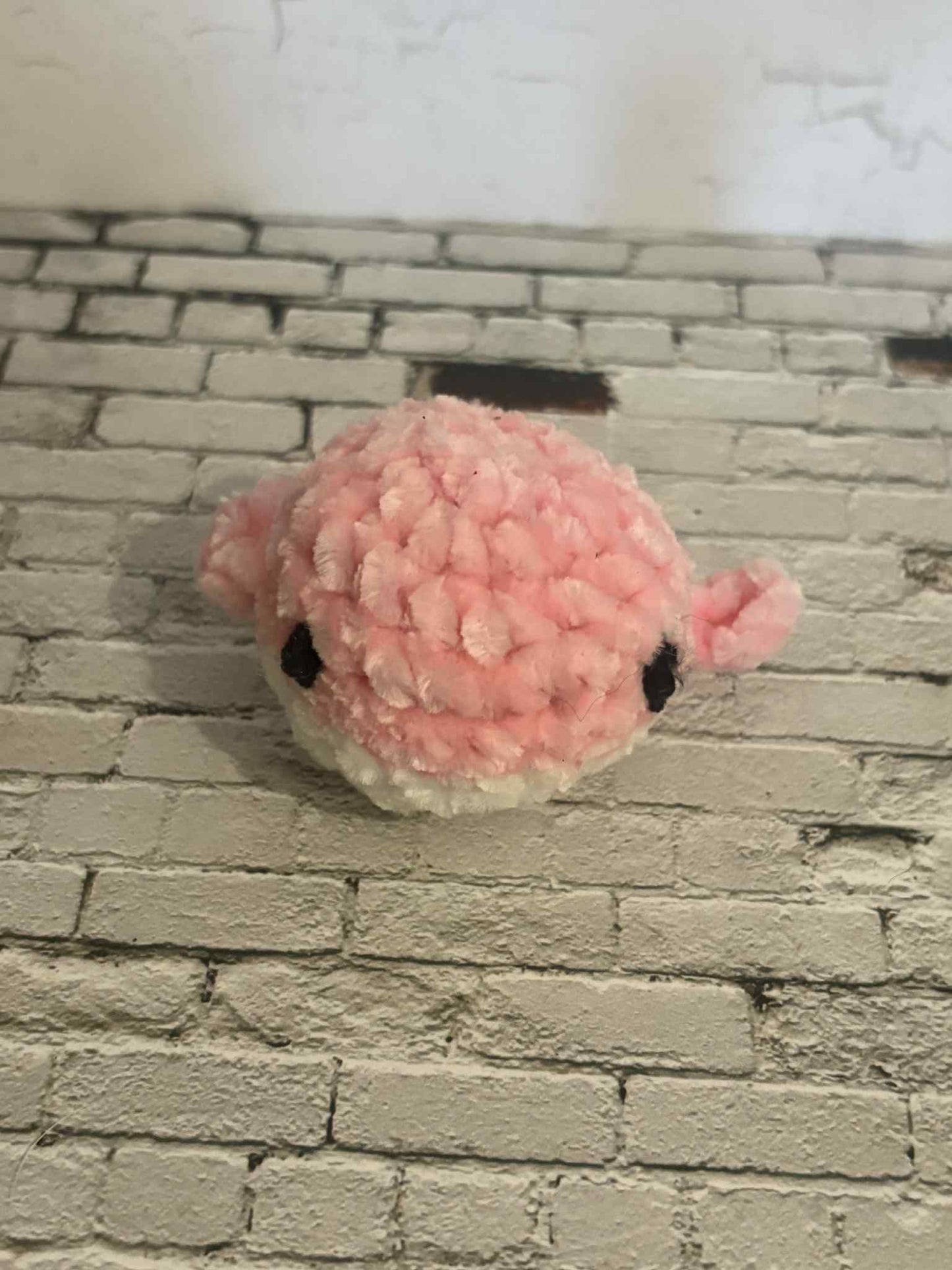 Baby Whale