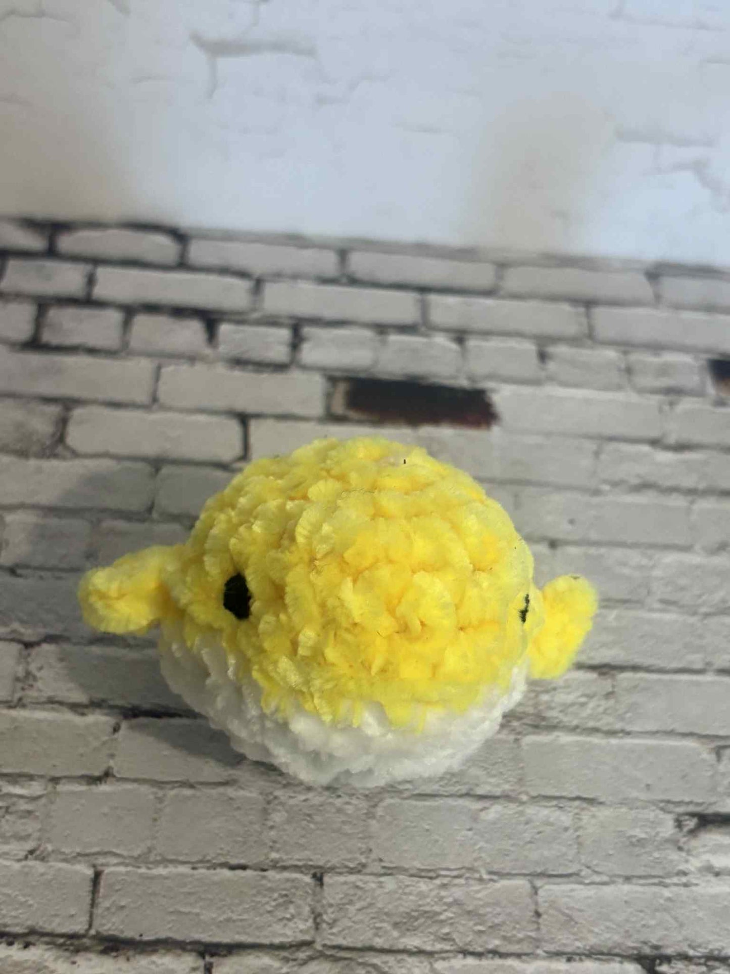 Baby Whale