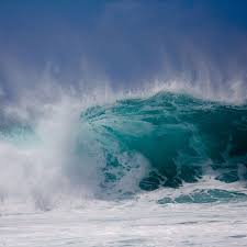 MEDIUM 60gm Whipped Soap