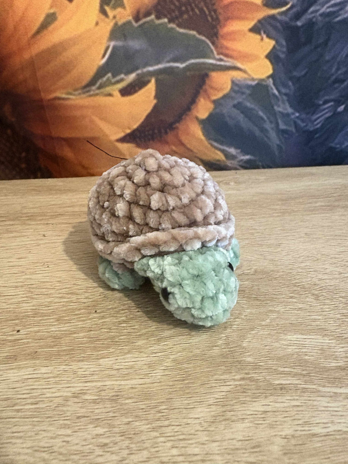 Baby Turtle