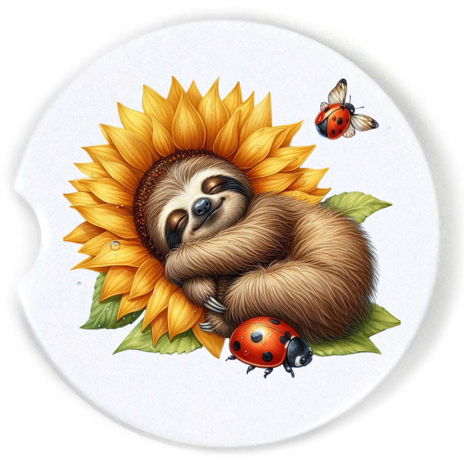 Pre-Order Coasters Set of 2