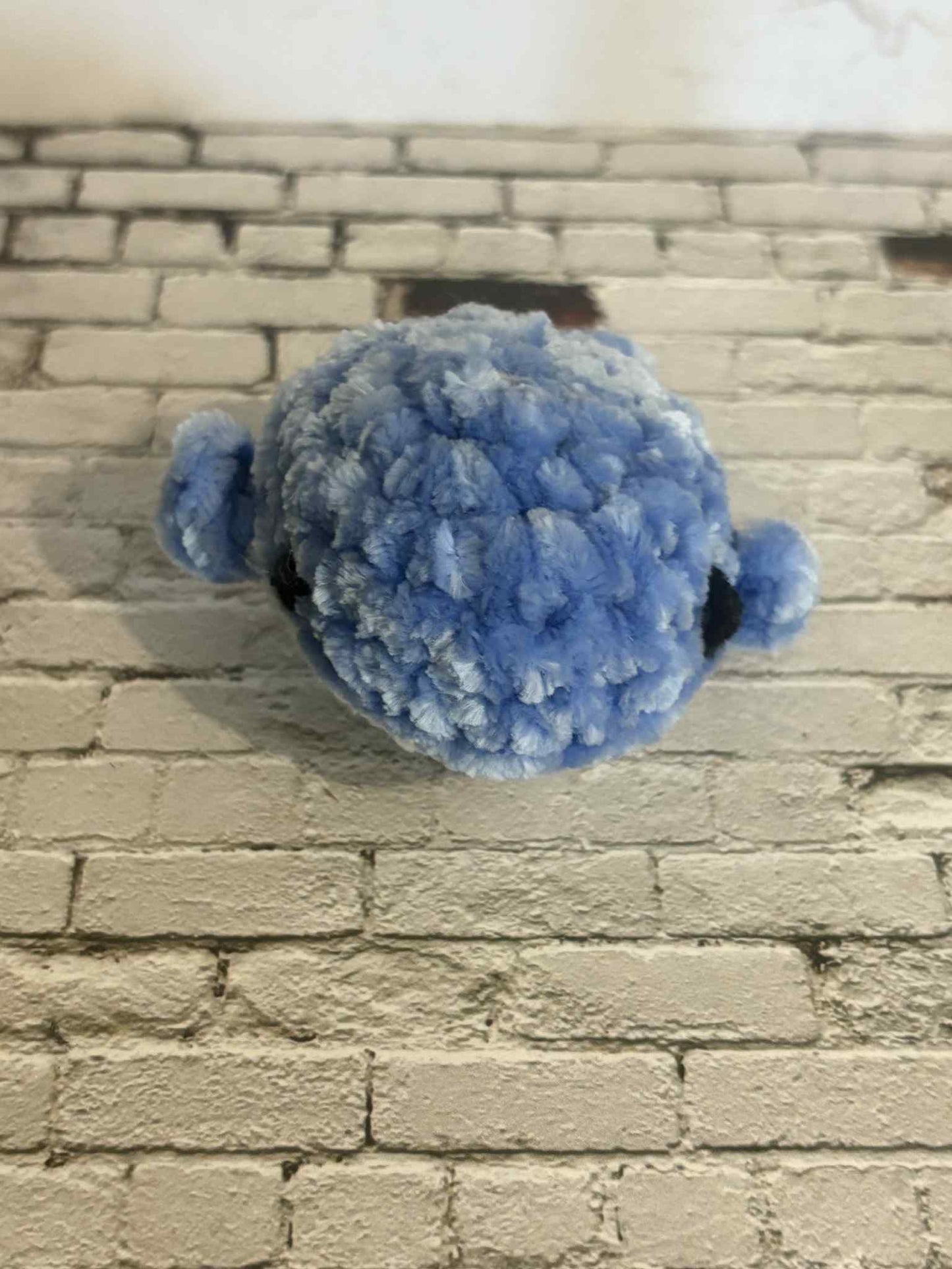 Baby Whale