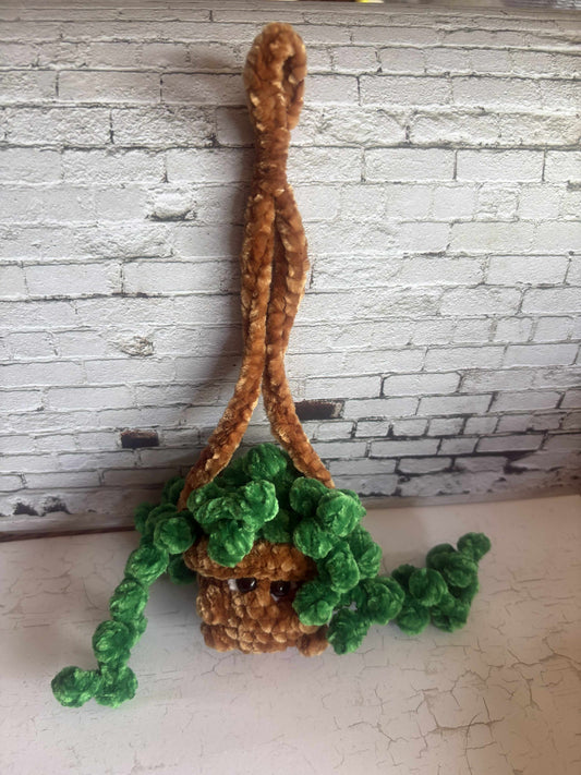 Hanging Pots