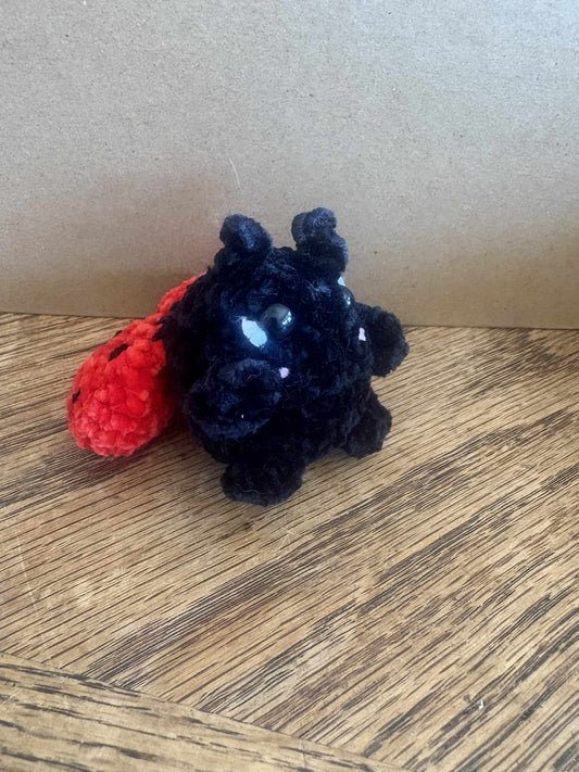 Sitting Ladybug