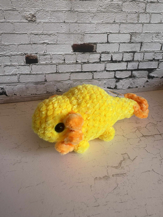Axolotl