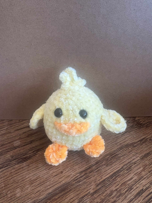 Baby Chick