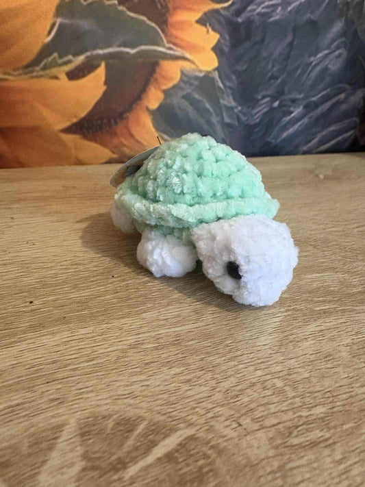 Baby Turtle Mint Green