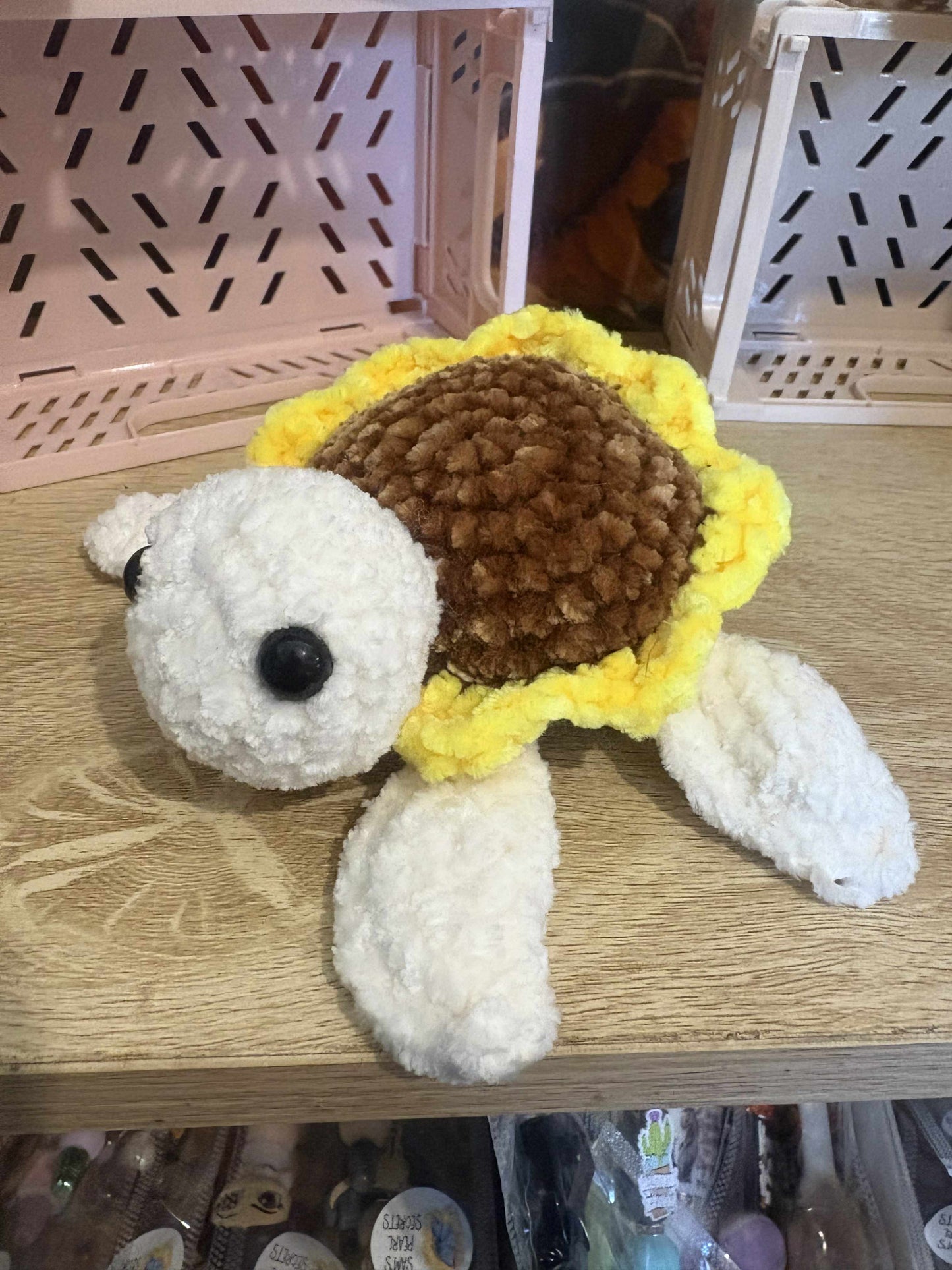 Sunflower Turtle