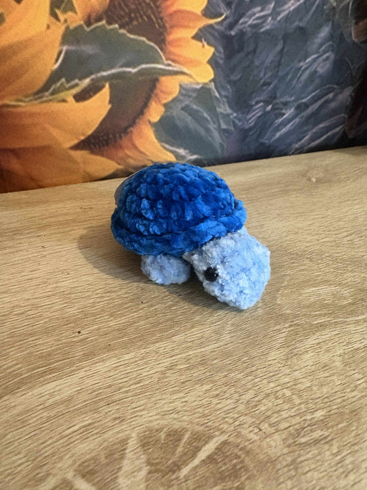 Baby Turtle All The Blues