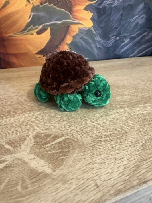 Baby Turtle Dark