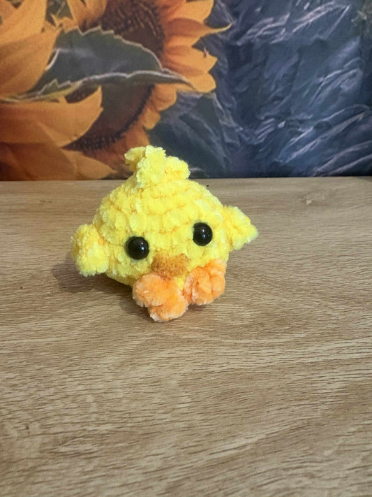 Baby Chick