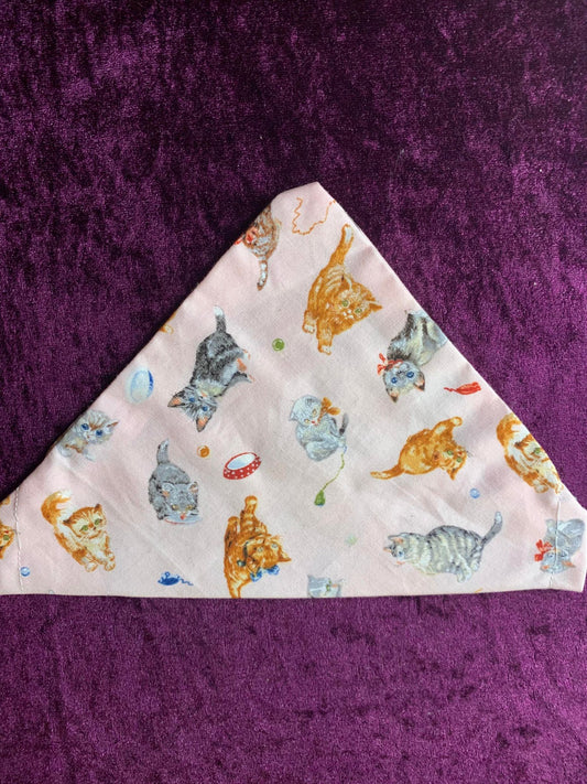 cat animal bandanna