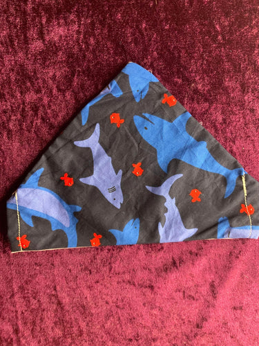 Shark animal bandana
